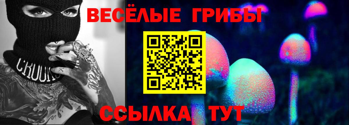 Бийск  Галлюциногенные грибы прущие грибы  Вход с VPN 